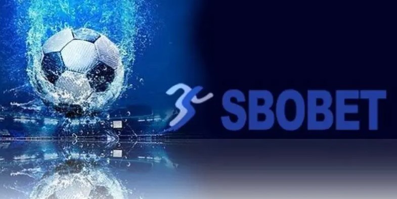 Lý do SBOBET lại trở nên thu hút hội viên