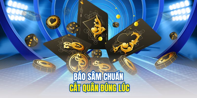 Báo sâm chuẩn cắt quân đúng lúc